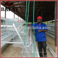 Chicken Farm System Wire Mesh Chicken Coops